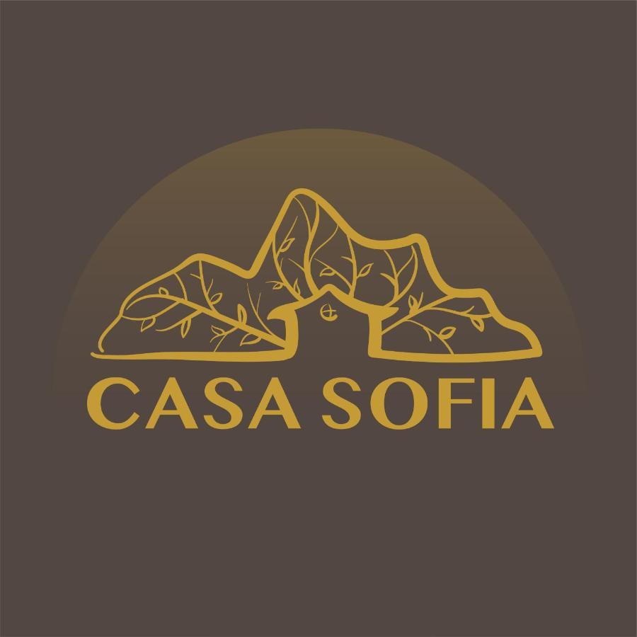 Vila Sofia Haţeg Eksteriør bilde