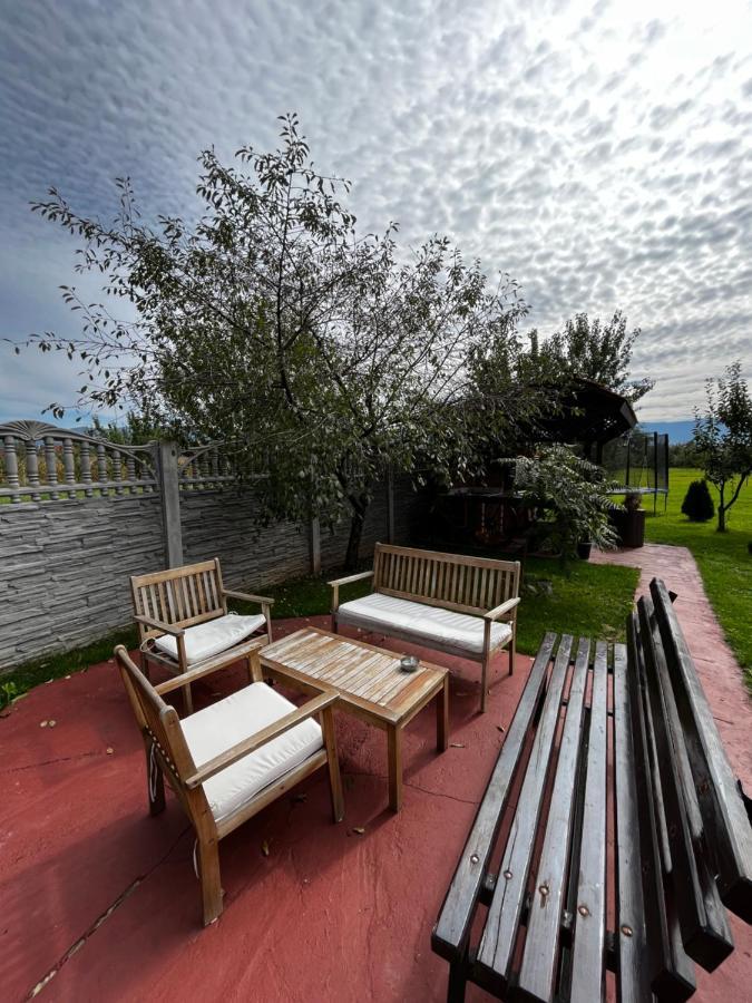 Vila Sofia Haţeg Eksteriør bilde