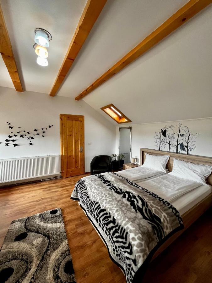 Vila Sofia Haţeg Eksteriør bilde